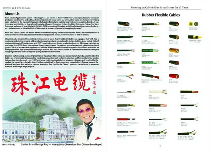 BC贷·(中国区)有限公司官网